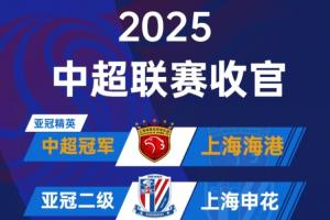 ⭐️2025中超大结局：海港夺冠申花亚军 法比奥金靴 亚泰梅州降级