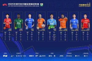 中超官方11月最佳候选：瓦科、吴曦、法比奥、王燊超在列