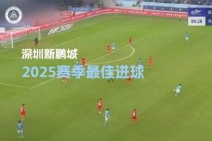 2025赛季最佳进球评选结果公布