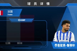 鲁特尔球员集锦：速度与爆发力出色 双脚均衡的前锋