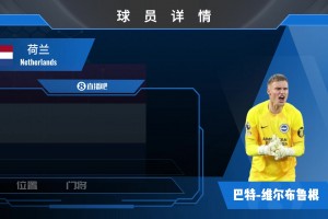 维尔布鲁根球员集锦：反应速度极快 门线技术良好的门将