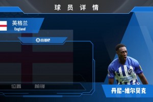 维尔贝克球员集锦：身材高大速度奇快的前锋