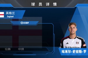 史密斯-罗球员集锦：盘带技术出色 推进能力极强的攻击型中场