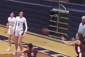 嗯？别搞！这是师承王哲林吗？？