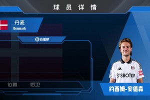 安德森球员集锦：防守稳健 定位球战术中的威胁者