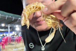 三亚夜宵朱芳雨谈王治郅：他都不用微信的！我私下叫他篮板王