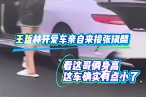 王哲林开着爱车亲自来接张镇麟，懂车的吧友看看这是啥车啊？